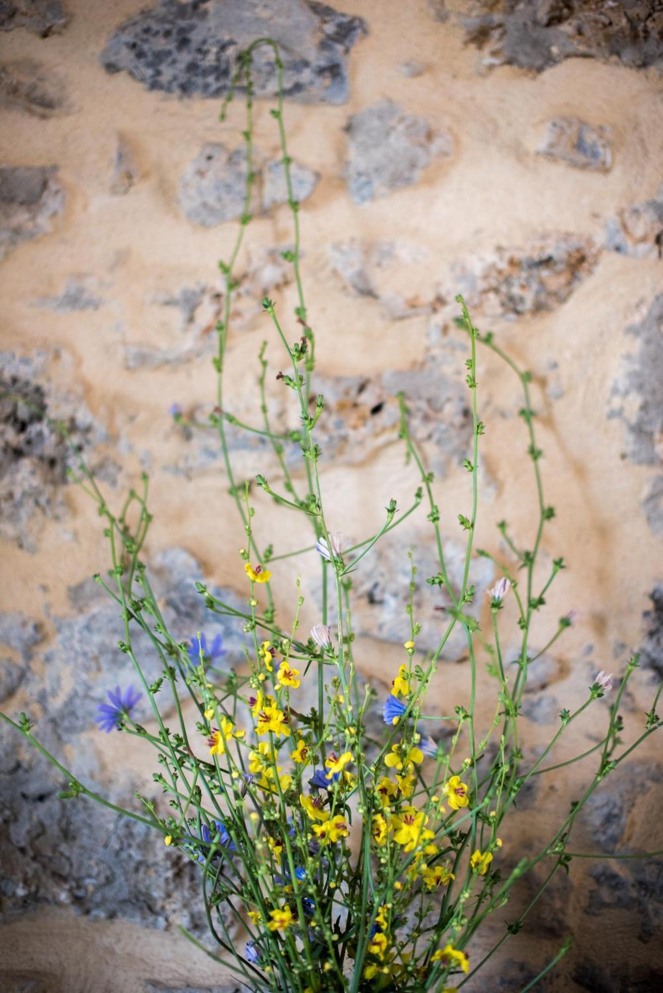 Agriturismo Casalino18 Tognazza 外观 照片