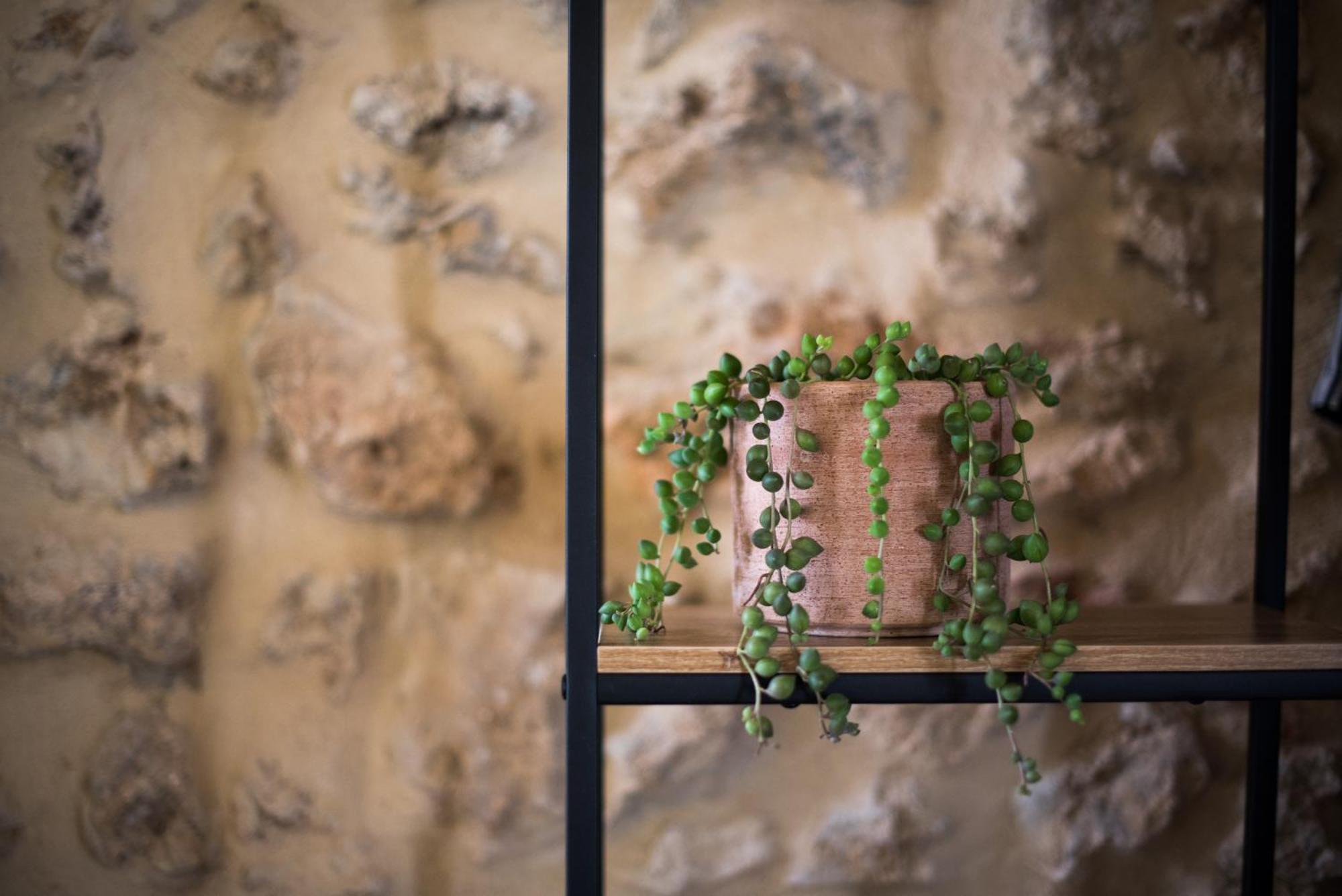 Agriturismo Casalino18 Tognazza 外观 照片